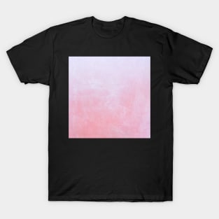 Flamingo Ombre T-Shirt